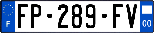 FP-289-FV