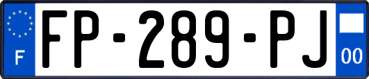 FP-289-PJ