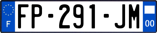 FP-291-JM