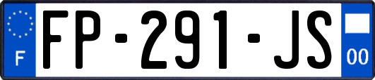 FP-291-JS