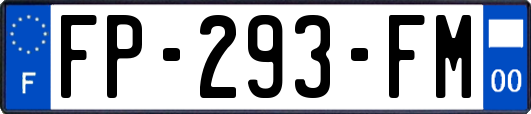 FP-293-FM