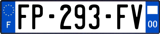 FP-293-FV