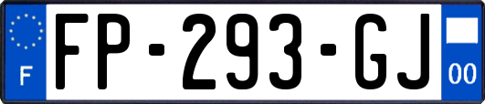 FP-293-GJ