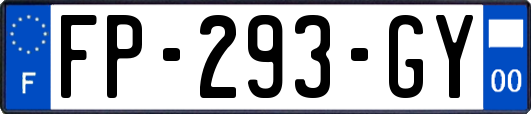 FP-293-GY