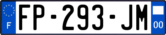 FP-293-JM