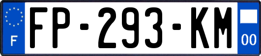 FP-293-KM