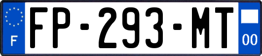 FP-293-MT