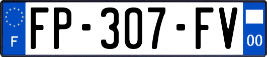 FP-307-FV