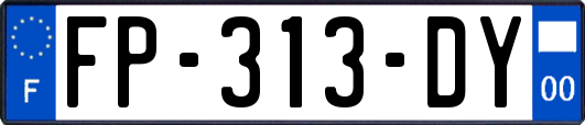 FP-313-DY