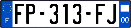 FP-313-FJ