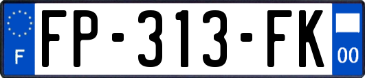 FP-313-FK