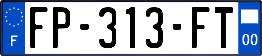 FP-313-FT