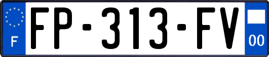 FP-313-FV