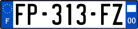 FP-313-FZ
