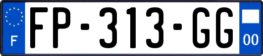 FP-313-GG
