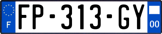 FP-313-GY
