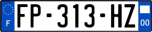 FP-313-HZ