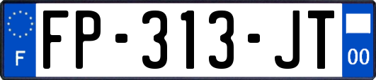 FP-313-JT