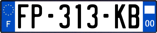 FP-313-KB