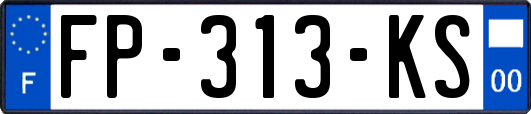 FP-313-KS
