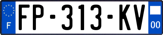 FP-313-KV