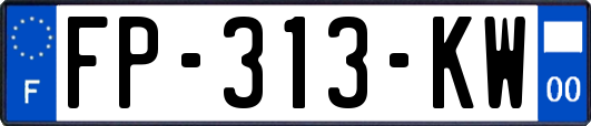 FP-313-KW