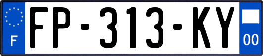 FP-313-KY