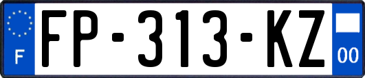 FP-313-KZ