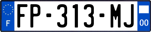 FP-313-MJ