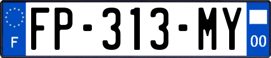 FP-313-MY