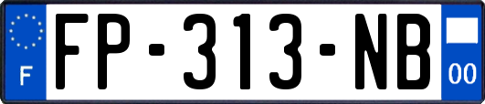 FP-313-NB