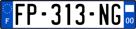 FP-313-NG