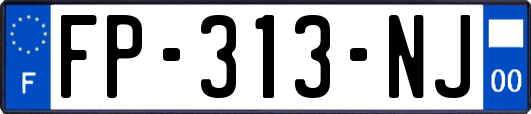 FP-313-NJ