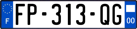 FP-313-QG