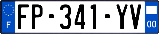 FP-341-YV