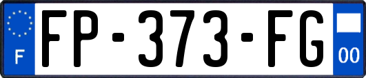 FP-373-FG