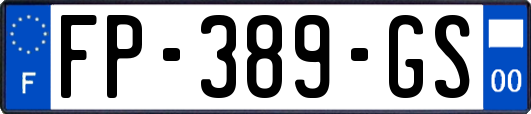 FP-389-GS