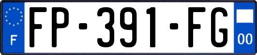 FP-391-FG