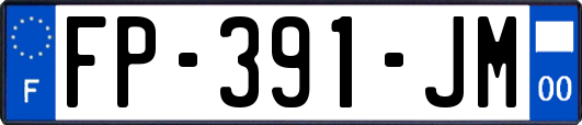 FP-391-JM
