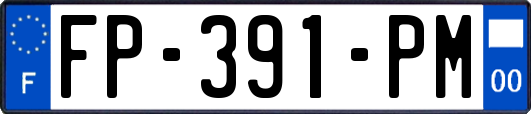 FP-391-PM