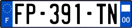 FP-391-TN