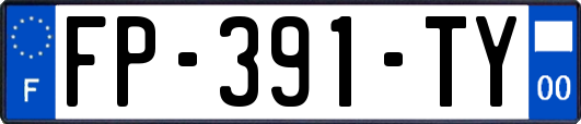 FP-391-TY