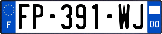 FP-391-WJ