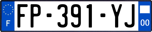 FP-391-YJ