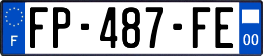 FP-487-FE