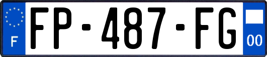 FP-487-FG