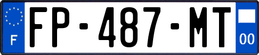 FP-487-MT