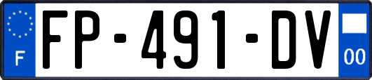 FP-491-DV