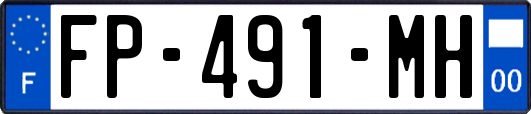 FP-491-MH