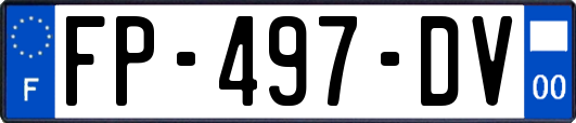 FP-497-DV